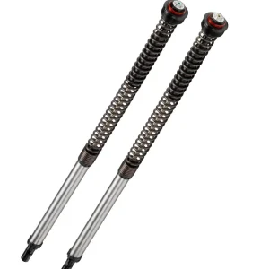 Cartridge BITUBO Nastavitelné předpětí pružiny/odskok/komprese (+2l oleje) Červená pružina pro APRILIA Tuareg 660 2021-2026 | Výhodná nabídka
